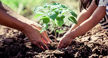 Praticas-de-Sustentabilidade