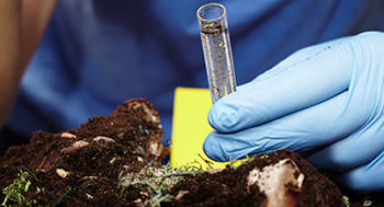 Entomologia-Forense