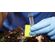 Entomologia-Forense