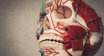 Fisiologia-Geral