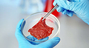 Tecnologia-de-Carnes