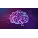 Curso-de-Neuroeducacao-na-Pratica